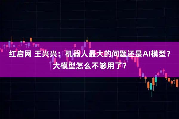 红启网 王兴兴：机器人最大的问题还是AI模型？大模型怎么不够用了？