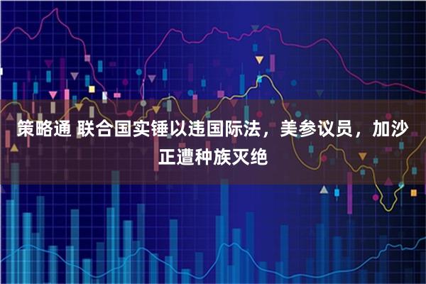 策略通 联合国实锤以违国际法，美参议员，加沙正遭种族灭绝
