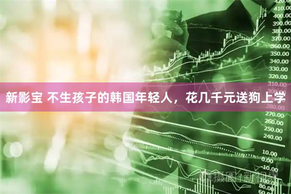 新影宝 不生孩子的韩国年轻人，花几千元送狗上学