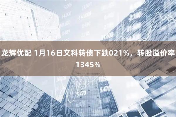 龙辉优配 1月16日文科转债下跌021%，转股溢价率1345%