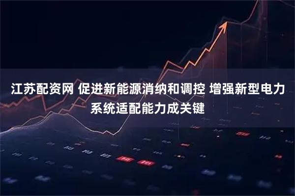 江苏配资网 促进新能源消纳和调控 增强新型电力系统适配能力成关键