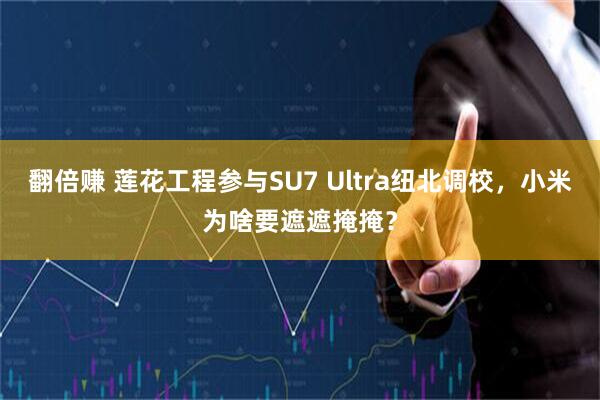 翻倍赚 莲花工程参与SU7 Ultra纽北调校,小米为啥要遮遮掩掩?